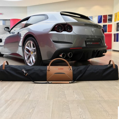 Ski bag for passenger compartment